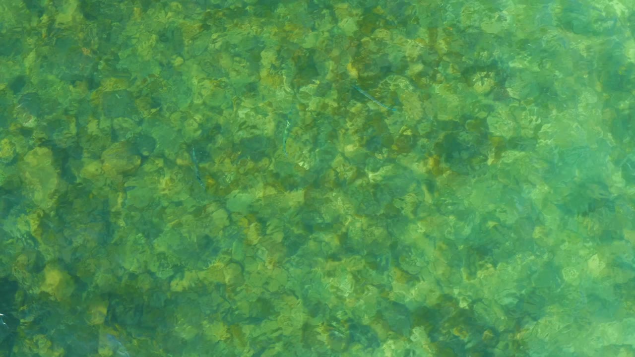 Overhead view of clear green-blue water over a rocky bottom at El Tule Beach in Los Cabos, with no visible people.