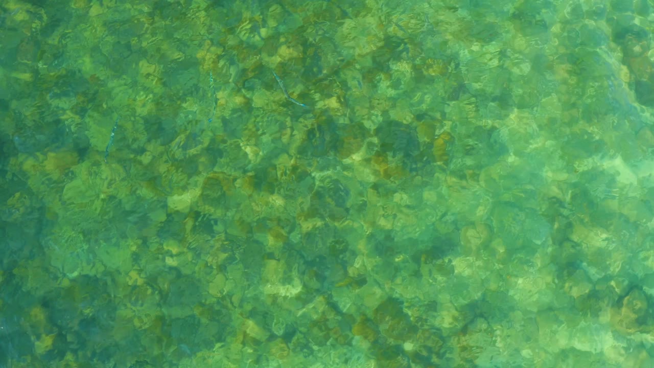 Transparent turquoise-green water covers a mottled rocky seabed at El Tule Beach in Los Cabos, with no shoreline and no visible people.