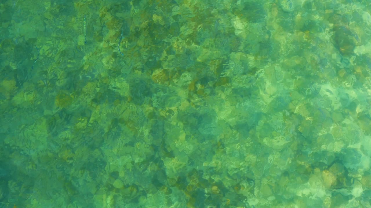 Green shallow water with uneven rocks and soft shadows.