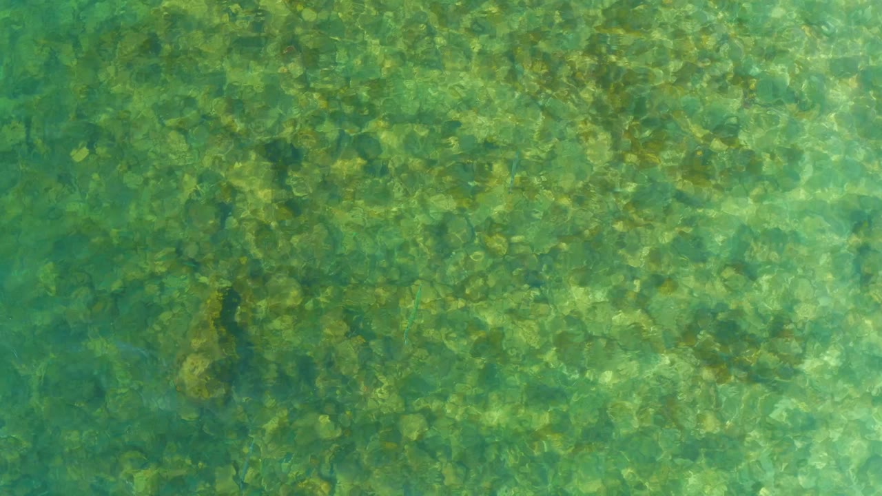 Clear shallow water at El Tule Beach Los Cabos shows a mottled rocky seabed under faint surface ripples, with no visible people or shoreline objects.