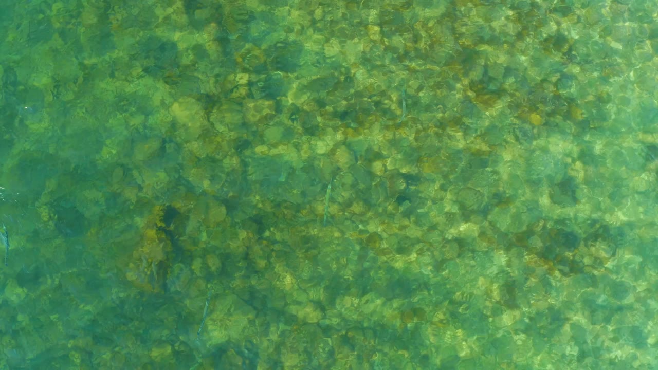 The overhead frame shows green-blue ocean water over a dense rocky bottom at El Tule Beach Los Cabos, with soft ripple patterns and no visible people.