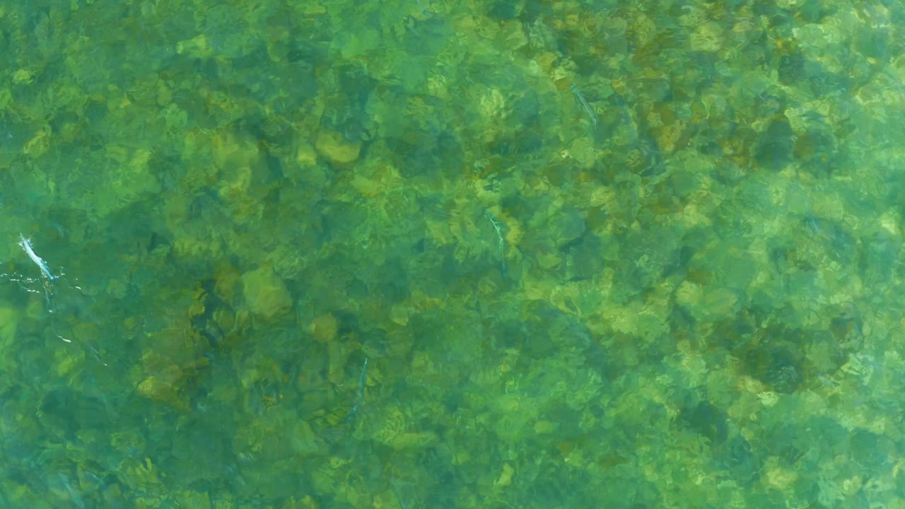 Clear coastal water with rocky seabed and shifting light.