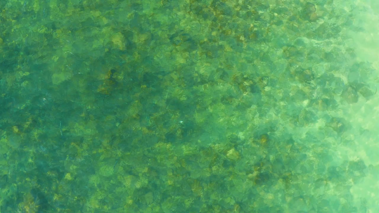 A darker section of green shallow water at El Tule Beach Los Cabos reveals rocks beneath the rippled surface, with no visible people.