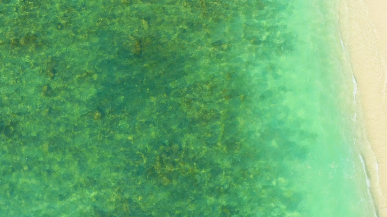 Overhead turquoise water beside a narrow sandy shoreline.