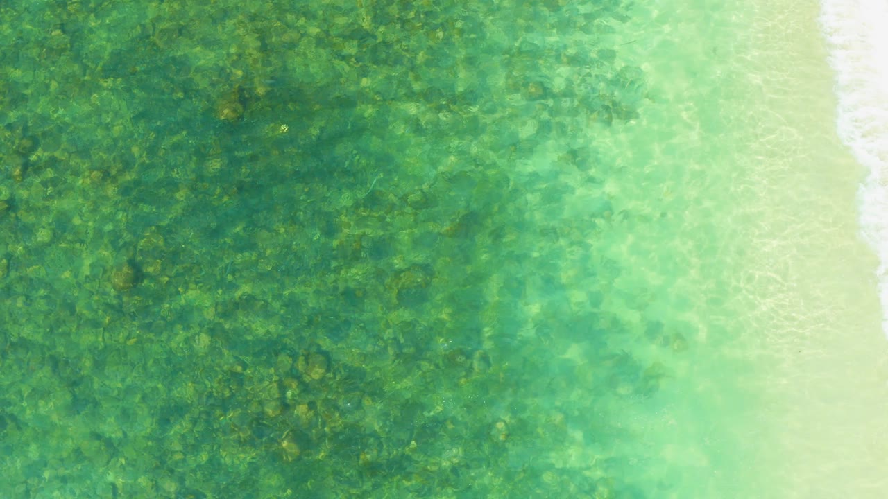 Aerial view at El Tule Beach Los Cabos where a pale wash of water spreads across the shoreline, with green seabed texture to the left and no visible people.