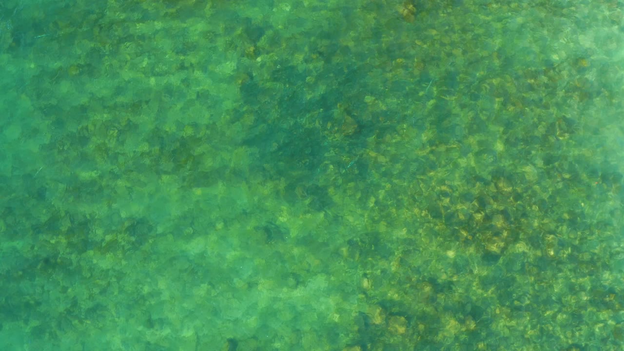 Clear green-blue water over a shallow seabed with scattered marine vegetation at El Tule Beach in Los Cabos, Mexico, with no visible people.