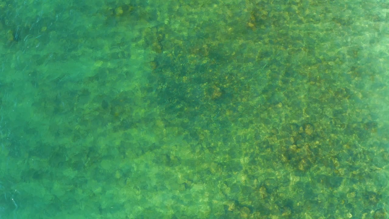 A green-blue underwater view shows darker patches of marine vegetation across the seabed at El Tule Beach in Los Cabos, Mexico, with no visible people.