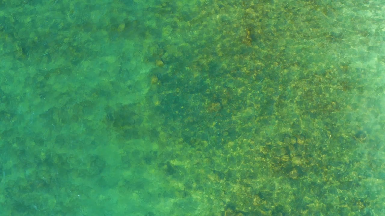 Clear shallow water with seabed vegetation and soft light variation