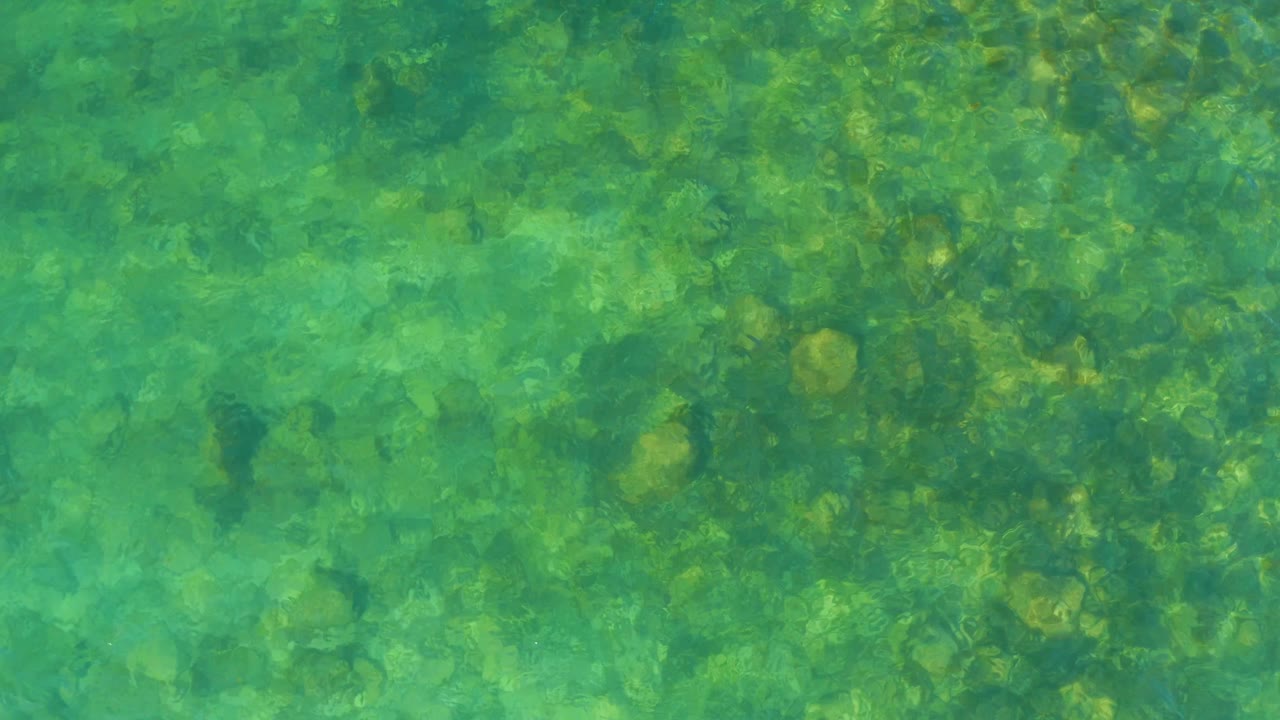 Transparent turquoise-green water covers an uneven rocky bottom at El Tule Beach in Los Cabos, with no visible people in frame.