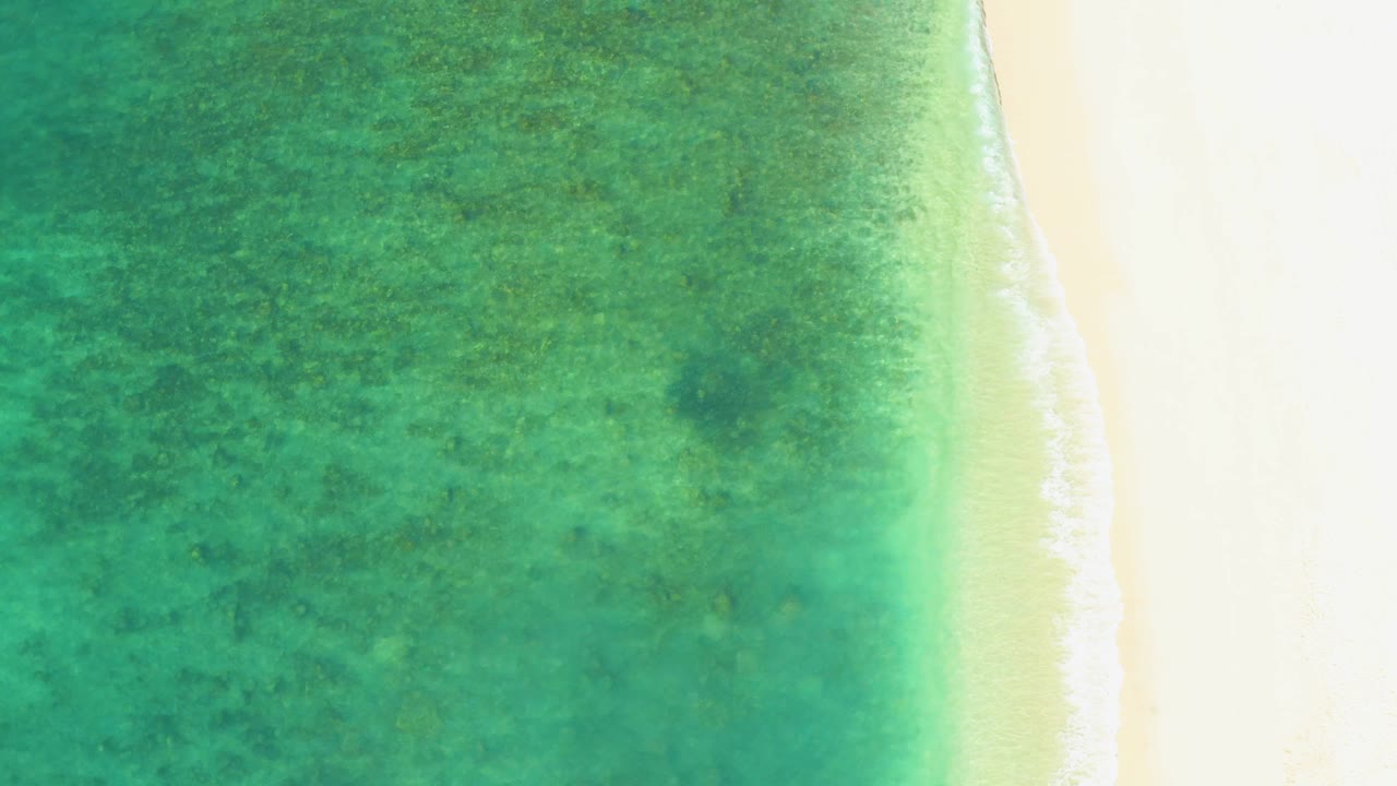 Aerial frame from El Tule Beach showing green-blue water shading into the shore, pale sunlit sand, a narrow foam edge, and no visible people.
