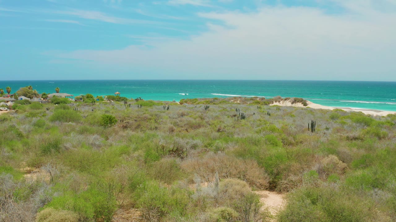 Wide view of Cabo Pulmo coastal shrubland with dry brush, green bushes, sandy dunes, turquoise ocean, soft clouds, and no visible people.