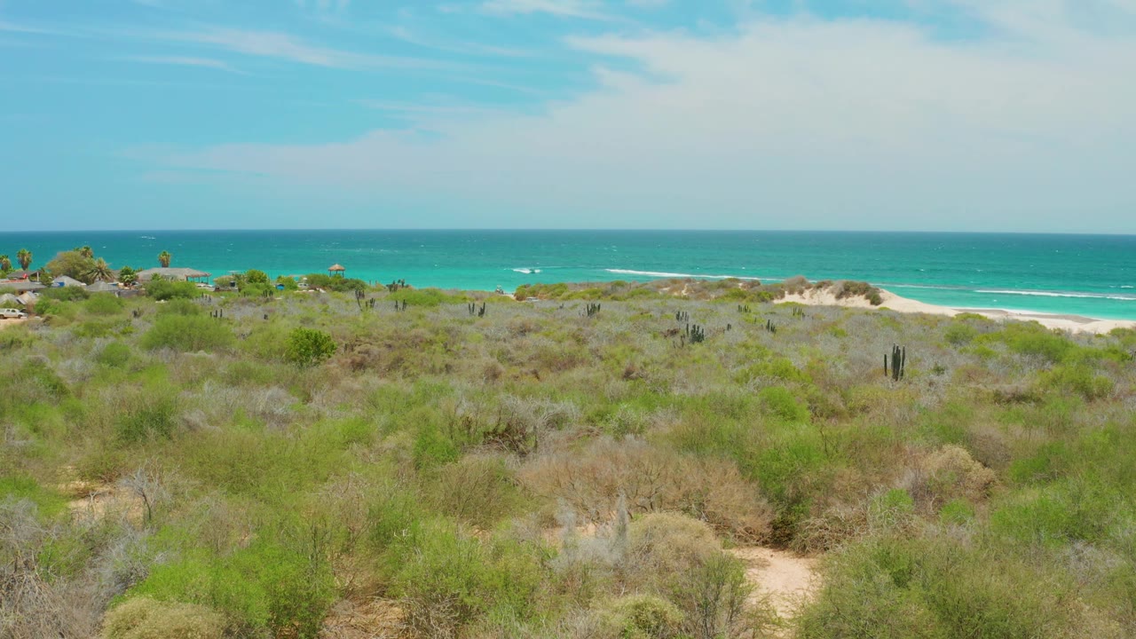 Scrubland foreground with turquoise sea and low beach dunes