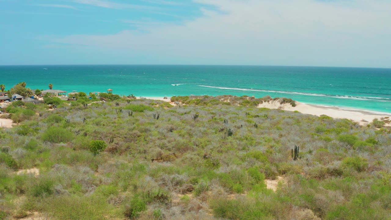 Green coastal vegetation with sand dunes, beach, and blue ocean beyond.