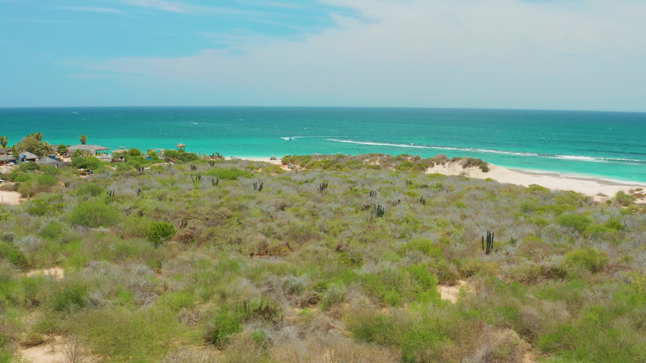 Aerial view over Cabo Pulmo coastal shrubland where muted green brush and cacti lead toward cream sand, teal-blue ocean, a level horizon, and no visible people.