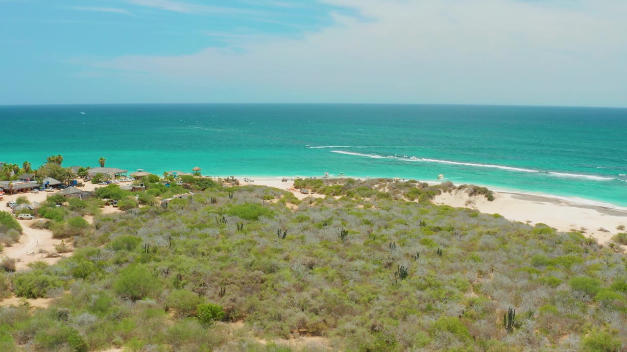 Wide aerial frame in Cabo Pulmo showing dense low vegetation in front of a bright beach and blue-green ocean, with no visible people.