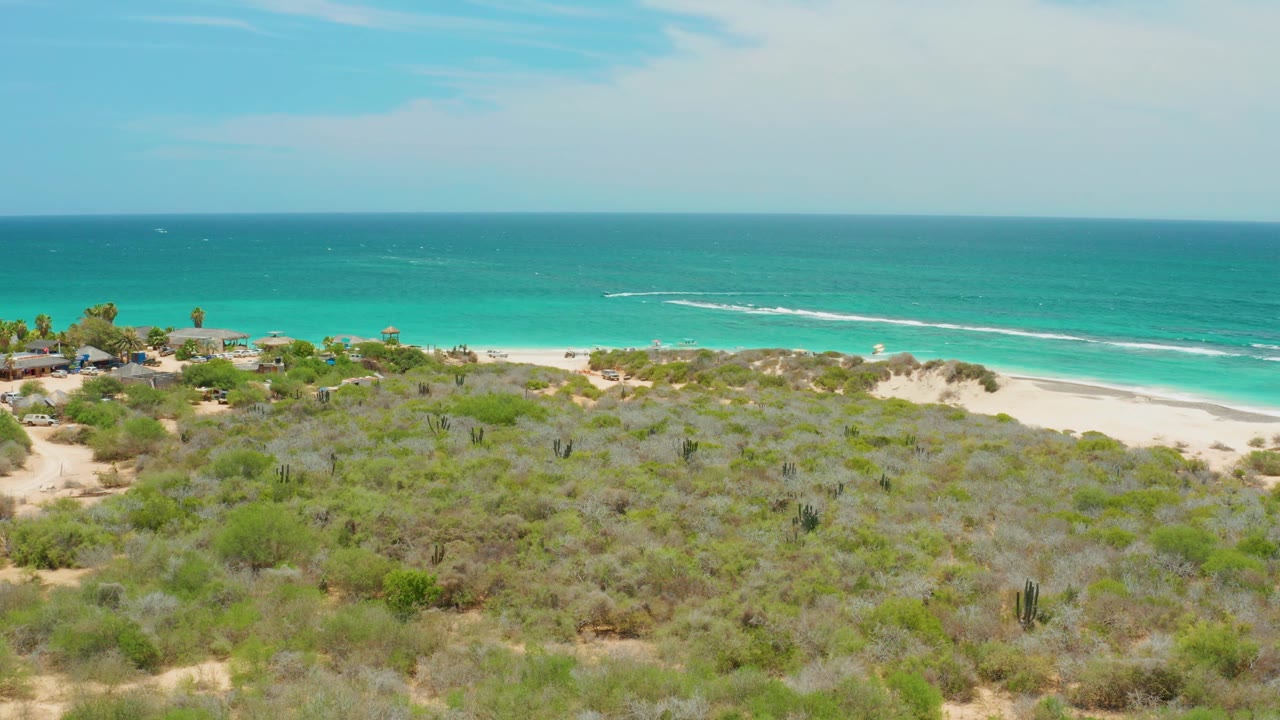 Aerial coastline frame in Cabo Pulmo with desert scrub across the foreground, sandy beach at midframe, and a straight ocean horizon, with no visible people.