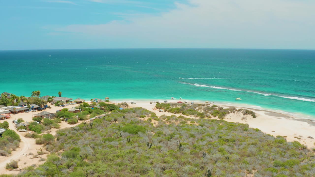 Aerial frame of Cabo Pulmo shoreline with white wave lines moving toward the sand, green scrubland across the foreground, a few palms near the beach, and no visible people.