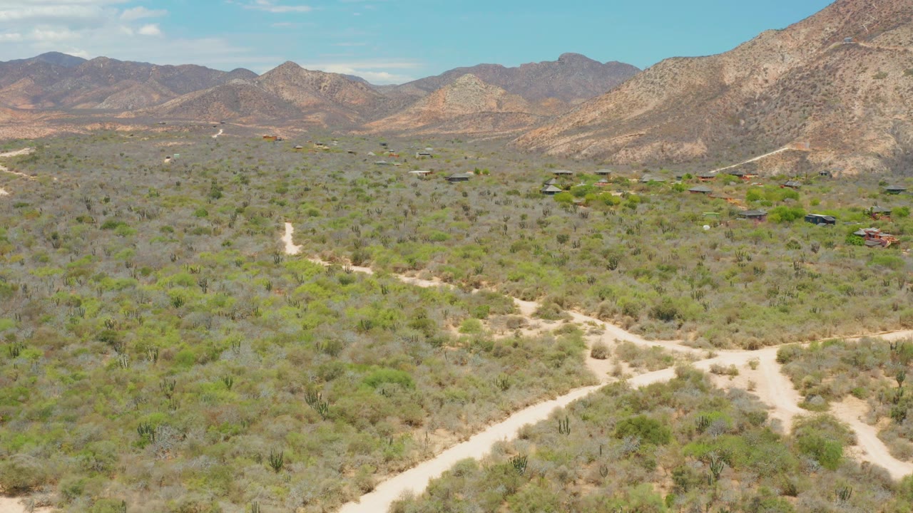 Aerial view in Cabo Pulmo showing a sandy road fork through green-brown shrubs, scattered small buildings in the middle distance, and no visible people.