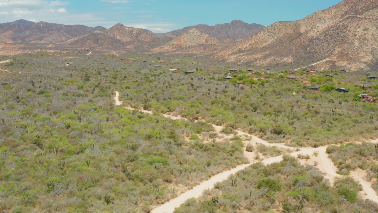 Cabo Pulmo aerial frame with branching pale dirt tracks in the lower frame, dense desert brush across the middle, mountain slopes beyond, and no visible people.