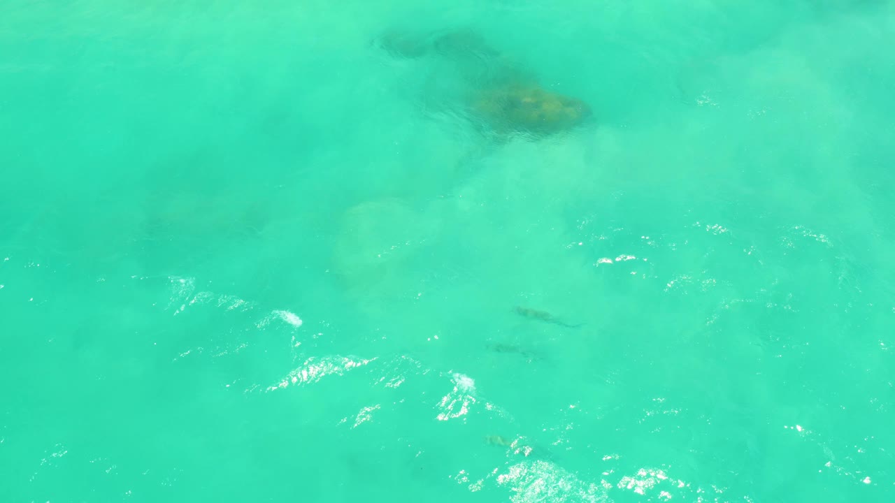Turquoise shallow water with dark fish shapes beneath ripples