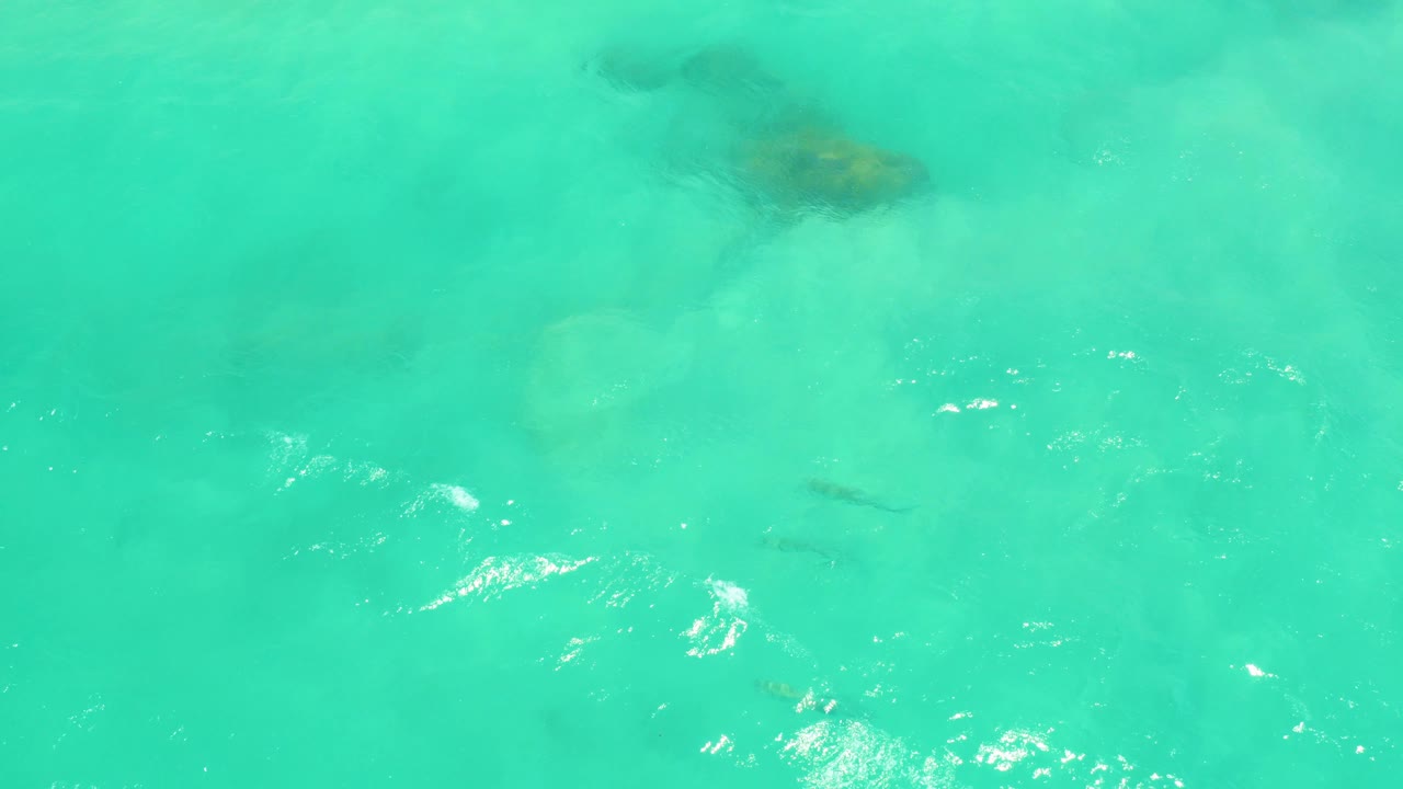 Cabo Pulmo blue-green water shows small sun glints, soft surface chop, and several fish-like dark forms below with no visible people.