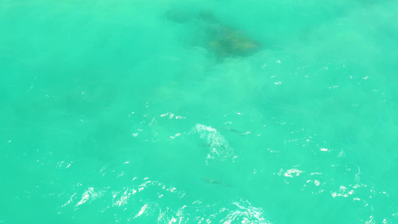 A downward view over Cabo Pulmo shallow turquoise ocean shows clustered ripples, bright highlights, and dark fish beneath the surface with no visible people.