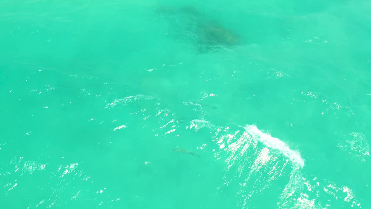 Mid-clip frame of Cabo Pulmo water with darker underwater patches near the top edge, small white wave texture, and fish shapes below, with no visible people.