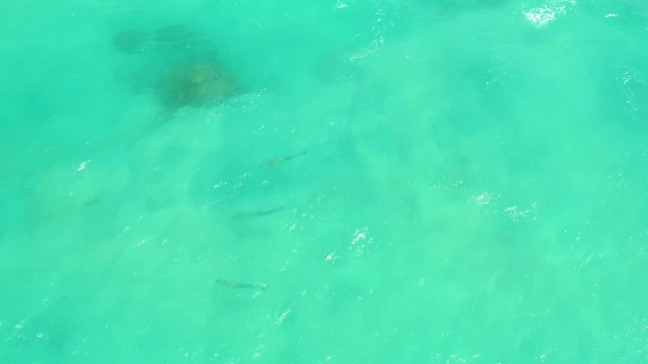 Top-down view of clear turquoise water in Cabo Pulmo, Mexico, with pale sand below, faint fish shapes, and no visible people.