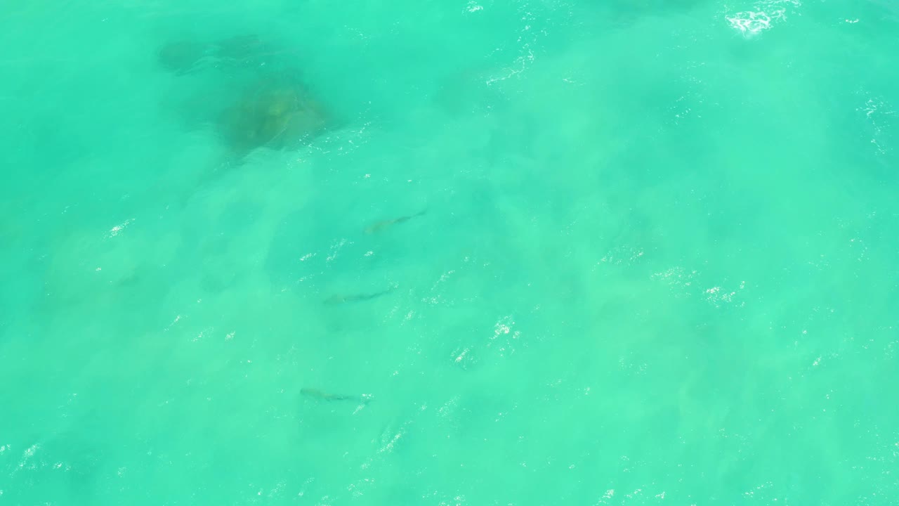 Clear Cabo Pulmo water shows a darker submerged patch near the upper frame, pale sand below, faint small fish, and no visible people.
