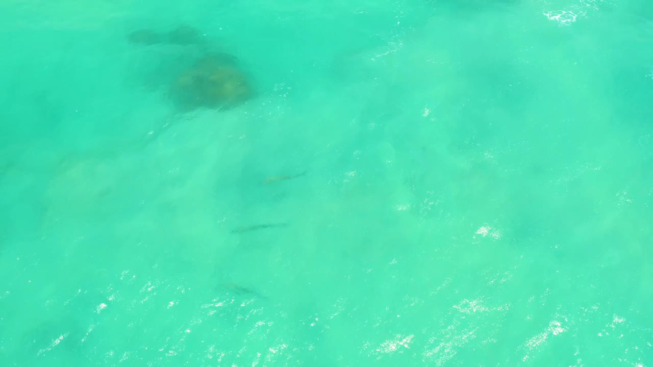 Aerial-looking view in Cabo Pulmo with rippled turquoise water, pale seabed, small fish marks near the sand, and no visible people.