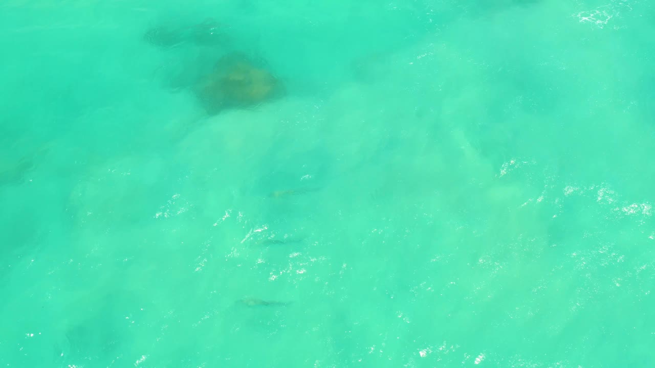 Shallow turquoise water with a dark underwater patch and small fish shapes.