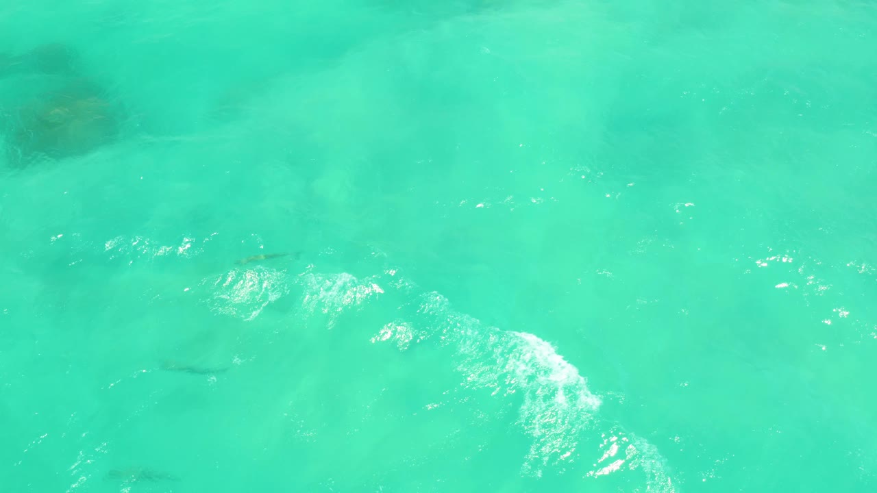 Overhead view of turquoise ocean water in Cabo Pulmo, Baja California Sur, with small fish shapes below the surface, bright foam near the lower left, and no visible people.
