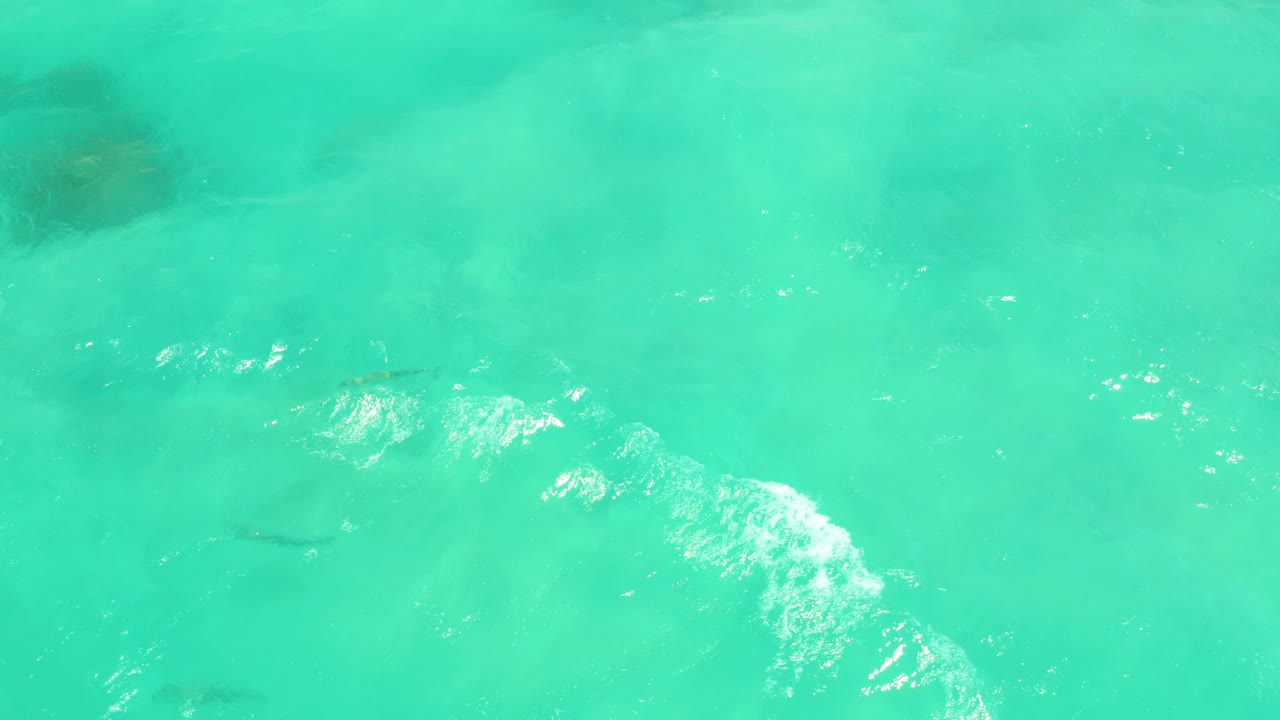 Overhead frame of Cabo Pulmo turquoise water with a larger patch of white foam crossing the lower center, faint fish silhouettes underneath, and no visible people.