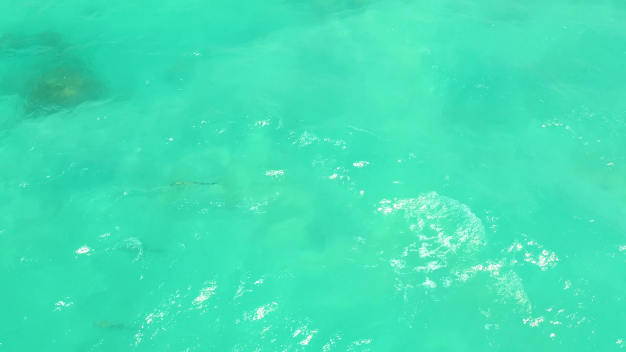 Aerial-looking view of Cabo Pulmo water with white foam concentrated near the lower right, small dark fish shapes in the midframe, and no visible people.