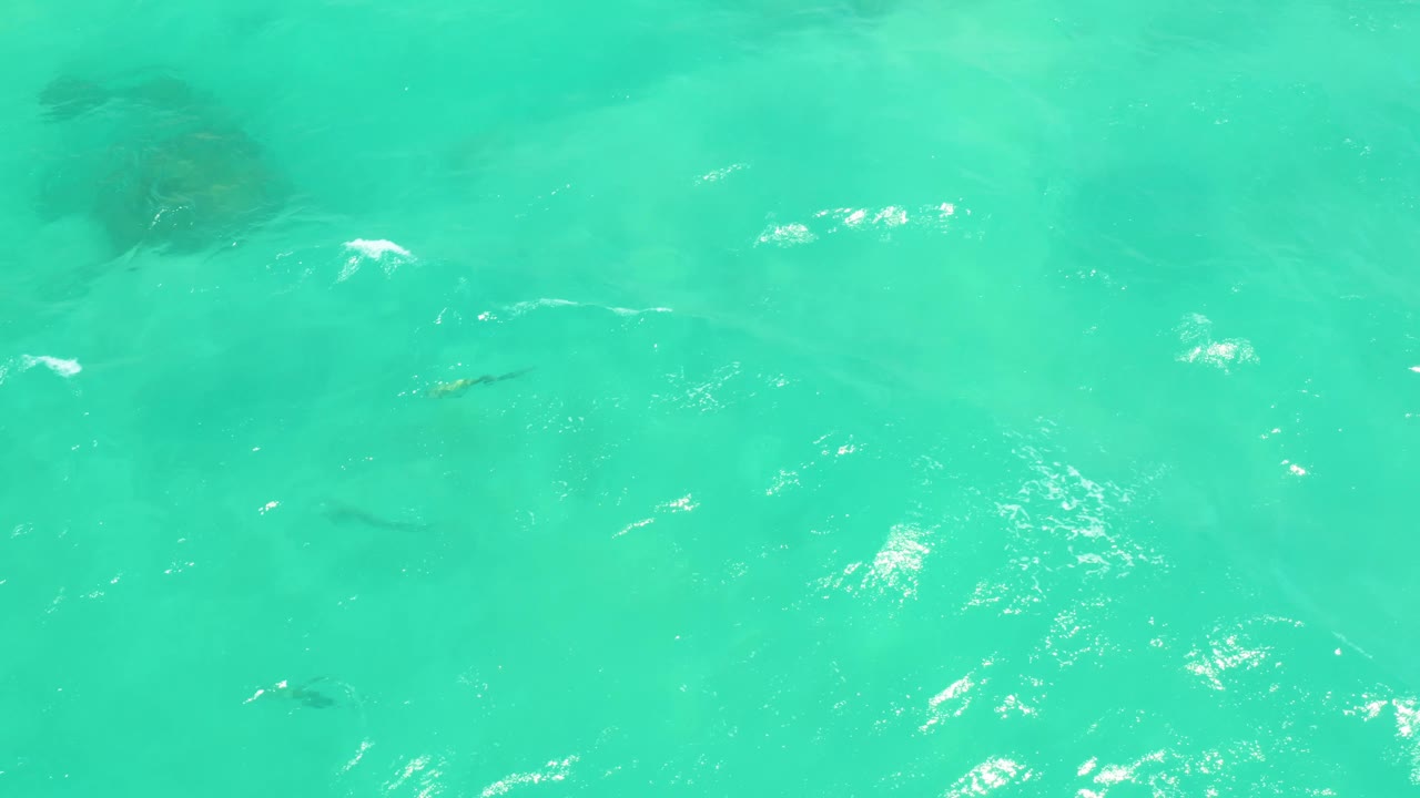 Turquoise ocean surface with a darker patch and small fish under the water.