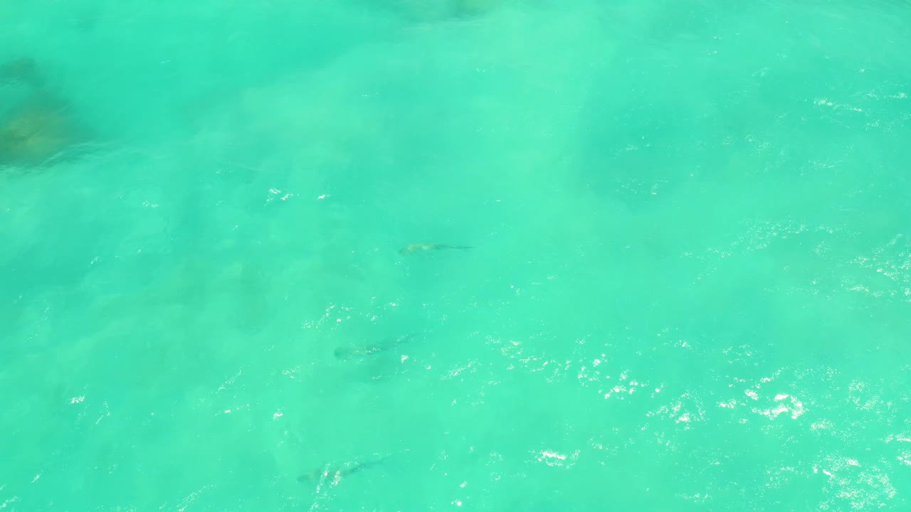 Overhead view of turquoise Cabo Pulmo water with a few small fish visible under soft surface ripples and no visible people.