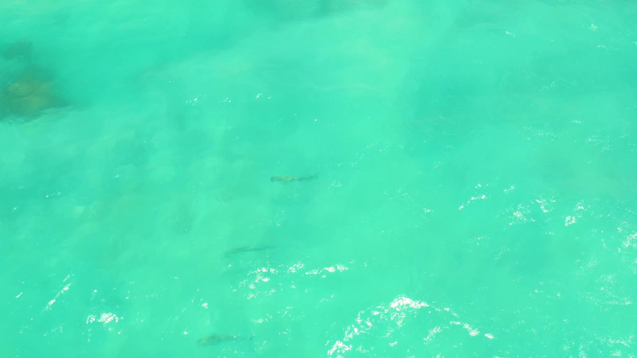 Clear aqua Cabo Pulmo water fills the frame with faint fish shapes beneath a shimmering surface and no visible people.