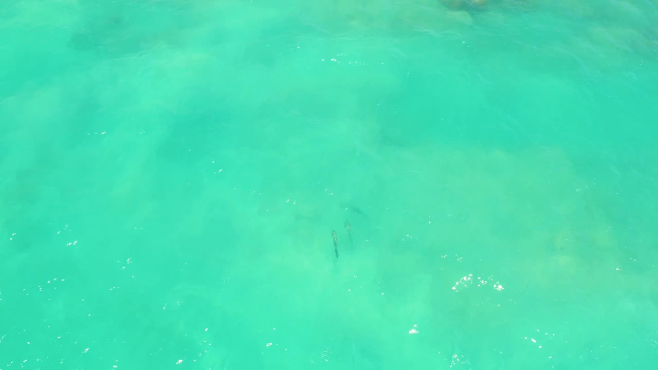 Clear aqua water fills the frame in Cabo Pulmo, Baja California Sur, with faint fish shapes below the rippled surface and no visible people.