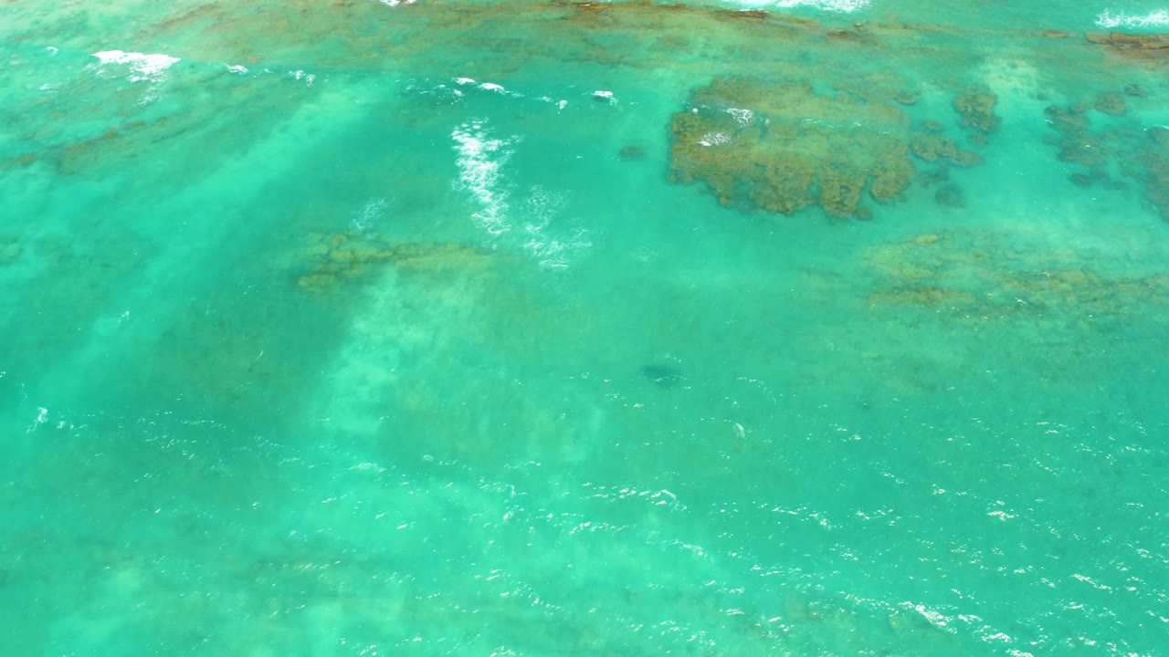 Overhead view of clear turquoise water in Cabo Pulmo with coral patches near the top of frame, soft white foam, and no visible people.