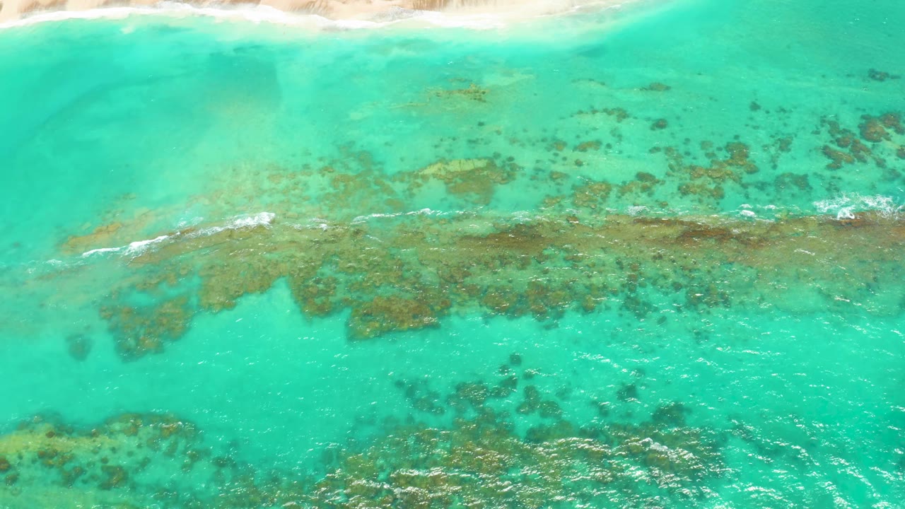 Aerial Cabo Pulmo reef view with brown-green coral formations under clear water, a small white wave break near the left-center reef, and no visible people.