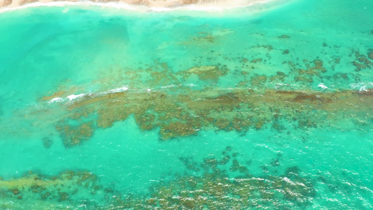 Top-down Cabo Pulmo ocean frame with the reef band spread across the middle, pale beach at the top, rippled turquoise water below, and no visible people.