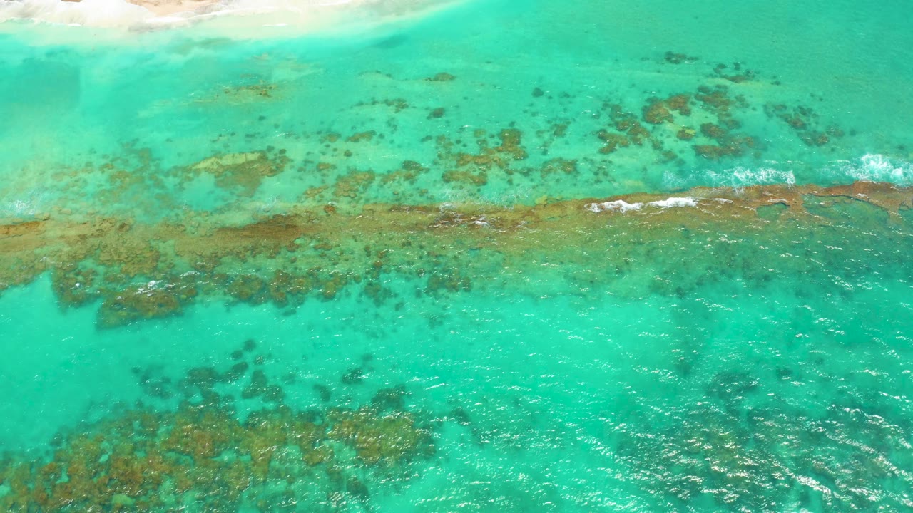 Opening overhead frame in Cabo Pulmo, Baja California Sur showing turquoise shallows, brown reef patches, a pale sandy beach edge at the top, and no visible people.