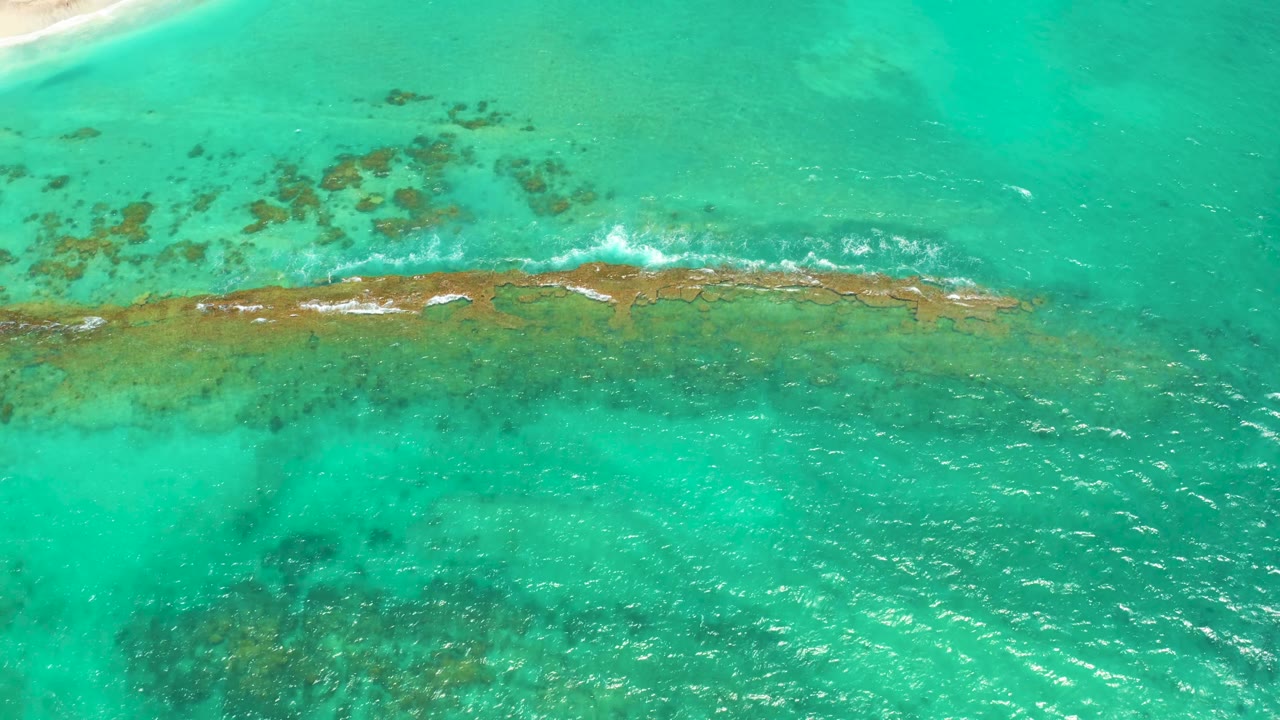 White foam streaks trace the long coral reef in Cabo Pulmo, with pale shallows at the top of frame, rippled water below, and no visible people.
