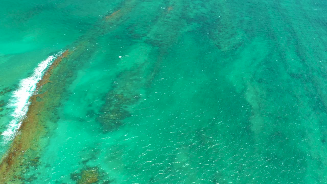 Aerial view in Cabo Pulmo, Baja California Sur, showing turquoise shallow water, brown reef structure, a narrow white breaking wave, and no visible people.
