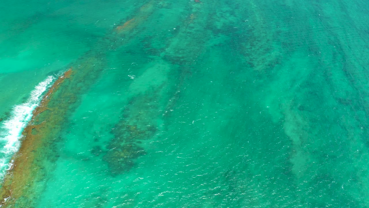 Aerial Cabo Pulmo frame with the reef and wave foam shifted toward the left, surrounded by transparent turquoise water and no visible people.