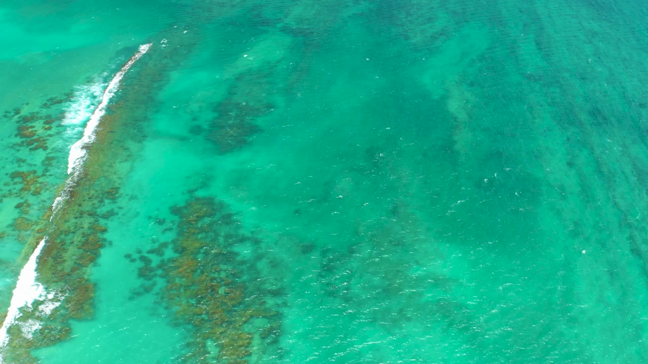 High overhead view of Cabo Pulmo water with a white wave curling on the left side of the reef line, brown-green coral patches below the surface, open turquoise water to the right, and no visible people.