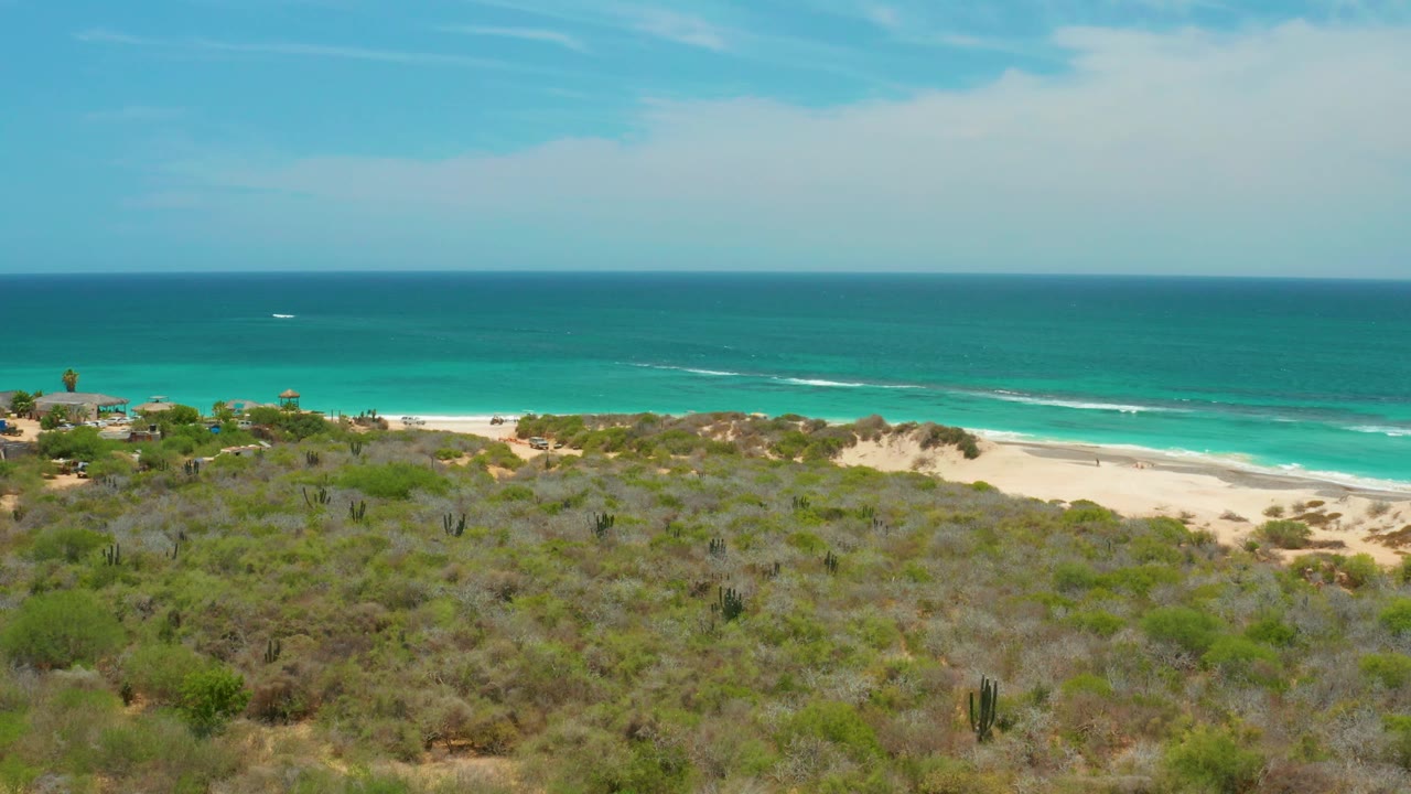 Aerial view in Cabo Pulmo with dense scrub and scattered cacti below, a thin pale beach band, turquoise water, small white wave streaks, and no visible people.