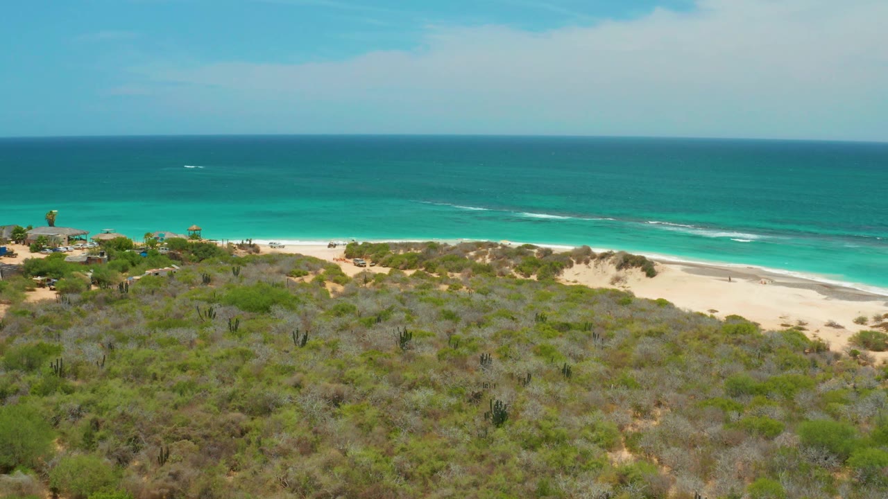Mid-clip aerial view of Cabo Pulmo coastline, with scrubland and cacti filling the lower frame, pale beach curving across the middle, turquoise ocean beyond, and no visible people.