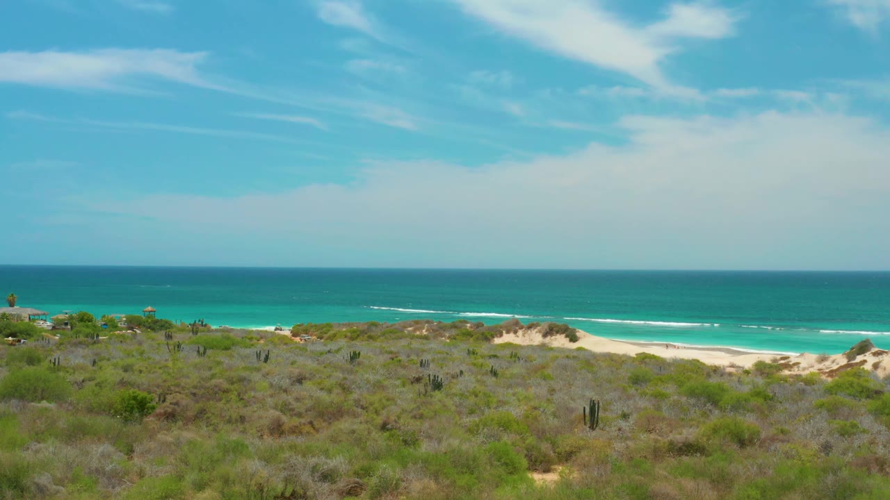The Cabo Pulmo shoreline shows thin white surf lines behind pale dunes, with scrub and cacti in the foreground and no visible people.