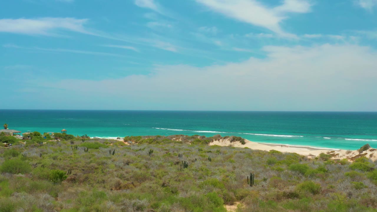 Mid-clip view of Cabo Pulmo scrubland and cacti looking over sand dunes to a turquoise ocean horizon, with no visible people.